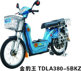 金豹王 TDLA380 5BKZ 一款融合科技与美学的电动自行车全网展示